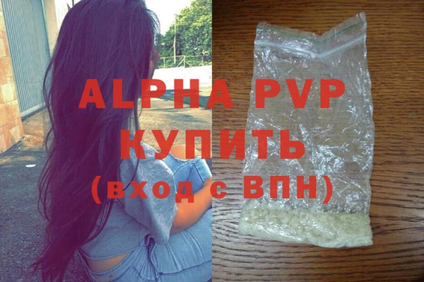 стаф Дмитровск