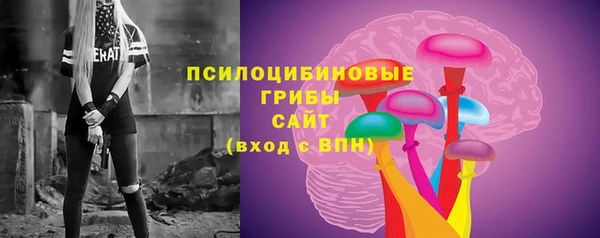 меф VHQ Дмитриев