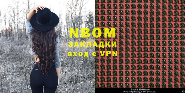 стаф Дмитровск