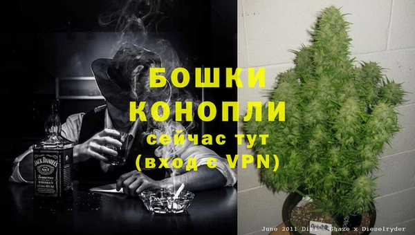 меф VHQ Дмитриев