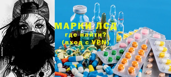 стаф Дмитровск
