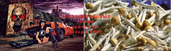 меф VHQ Дмитриев
