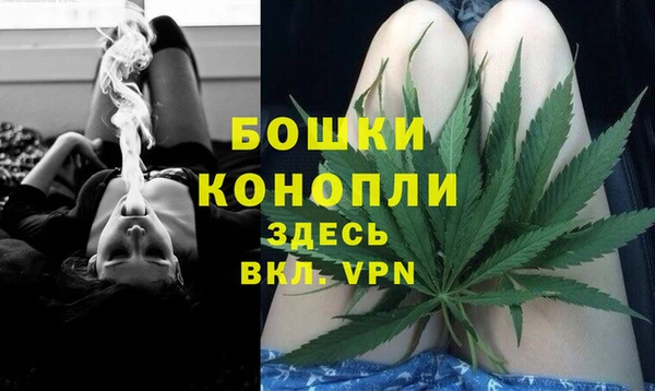 МДПВ Дмитров
