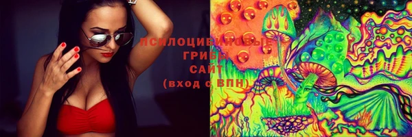 МДПВ Дмитров
