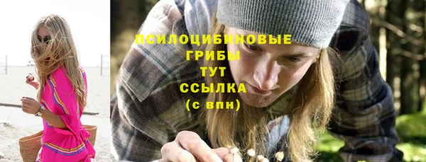 МДПВ Дмитров