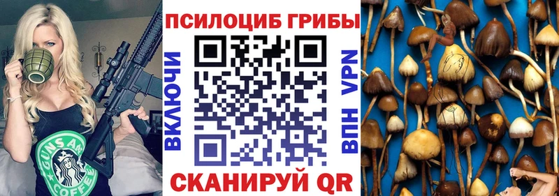Купить закладки  Краснокаменск  Галлюциногенные грибы прущие грибы 